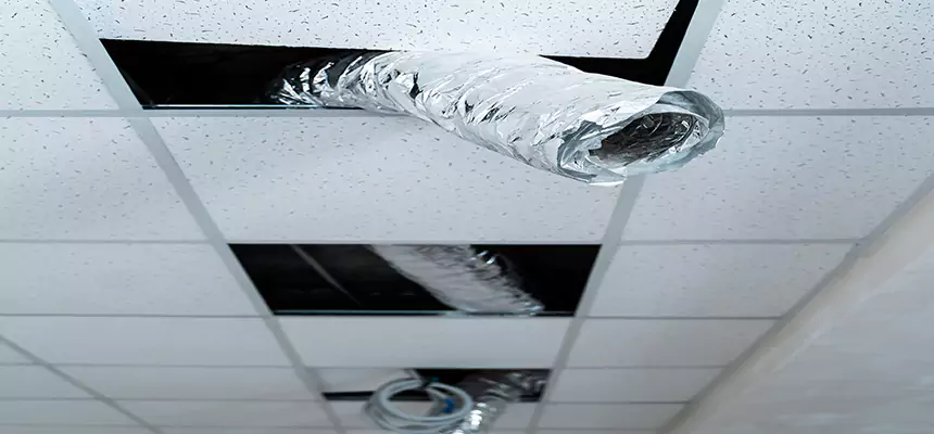 Our Air Duct Pet Hair Removal Services in North Olmsted, OH