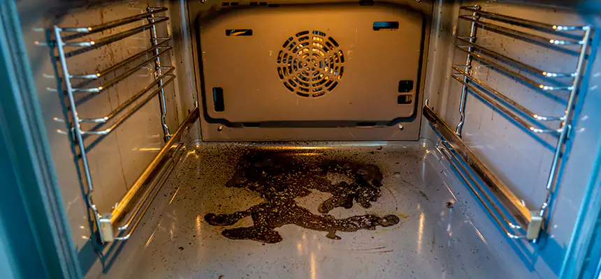 Our Dryer Vent Mold Cleaning Services in North Olmsted, OH