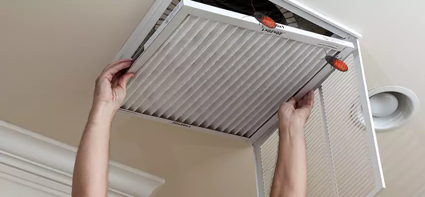 Our Insect Removal from Air Ducts Services in North Olmsted, OH
