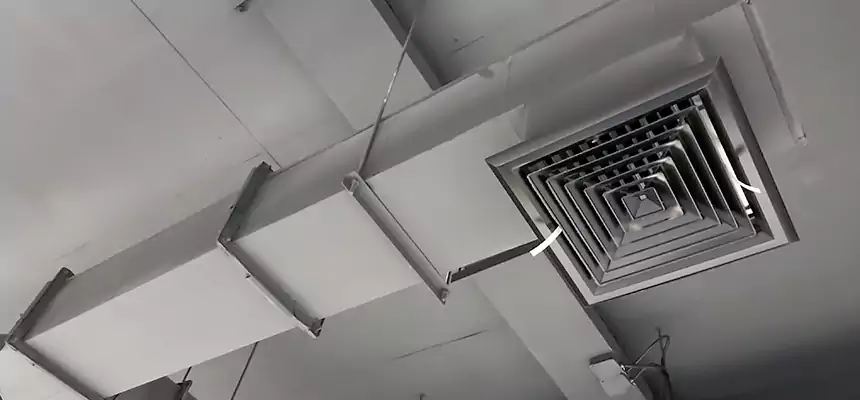 Our Rodent Droppings In Vents Services in North Olmsted, OH