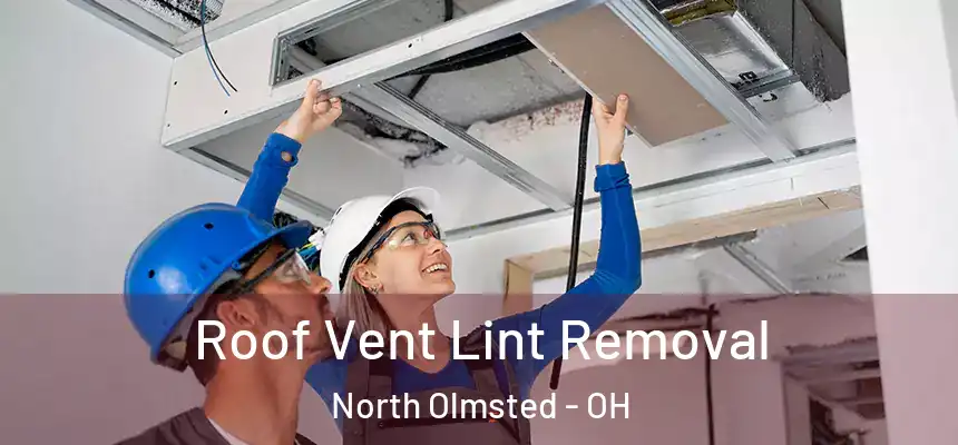  Roof Vent Lint Removal North Olmsted - OH