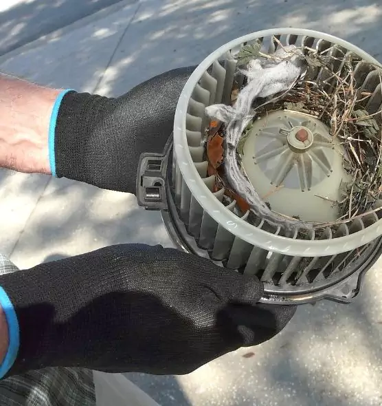 About Air Duct Mice Removal in North Olmsted, OH