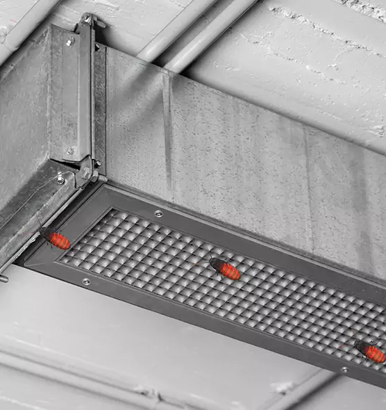 Affordable Insect Removal from Air Ducts in North Olmsted, OH